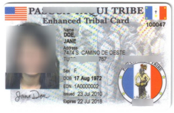 Image of a tribal ID